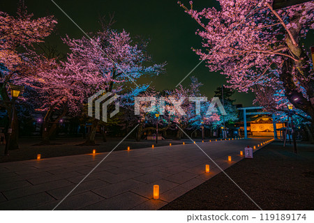 夜櫻參拜（靖國神社） 119189174