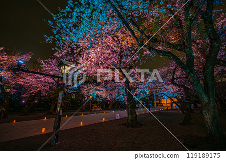 夜櫻參拜（靖國神社） 119189175