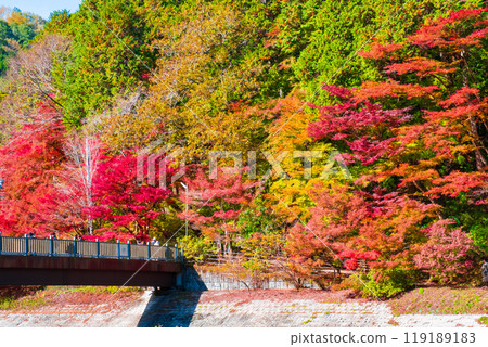 香蘭溪(秋季) 香蘭溪(秋季) 119189183