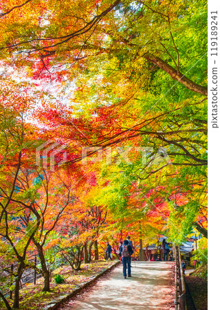 Korankei (Autumn) 119189241