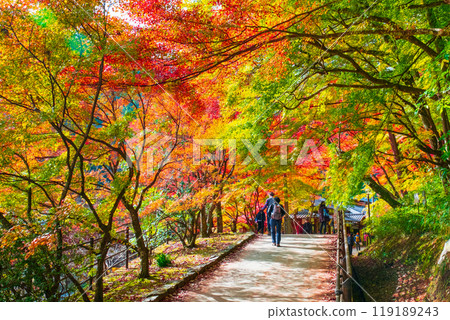 Korankei (Autumn) Korankei (Autumn) 119189243