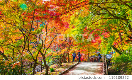 Korankei (Autumn) 119189252