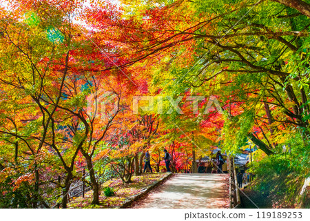 Korankei (Autumn) 119189253