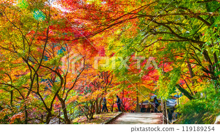 香蘭溪（秋季） 119189254