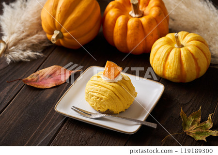 南瓜勃朗峰 119189300