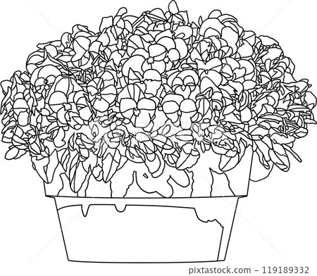 Coloring book, flower pot illustration, transparent background Coloring book, flower pot illustration, transparent background 119189332