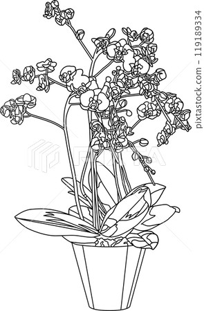 著色書,盆花插畫,透明背景 著色書,盆花插畫,透明背景 119189334
