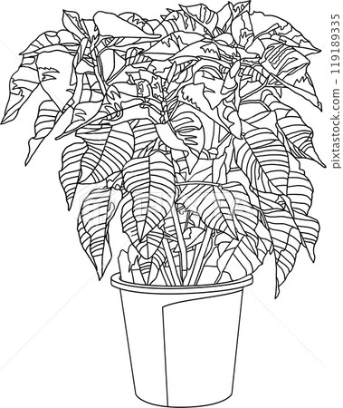 Coloring book, flower pot illustration, transparent background Coloring book, flower pot illustration, transparent background 119189335
