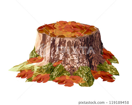 Stump (withered stump) with fallen leaves 119189458