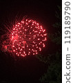 Fireworks display fireworks 119189790