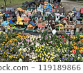 Small houses 119189866