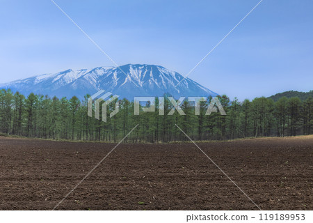 春季農場防風林與殘雪巖手山 春季農場防風林與殘雪巖手山 119189953
