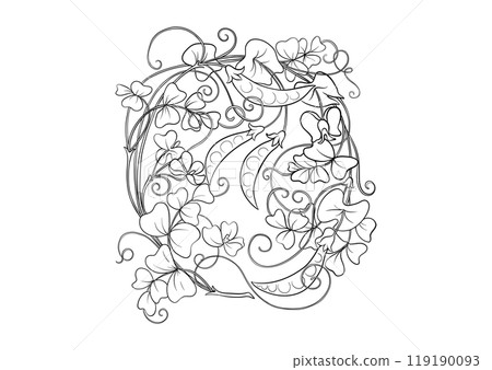 Green peas. Branch with leaves and pods with peas. Green peas. Branch with leaves and pods with peas. 119190093