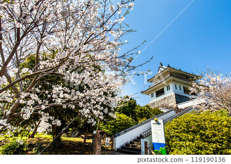 Cherry blossoms at the Takezaki Castle ruins observation deck [Takezaki, Tara-cho, Fujitsu-gun, Saga Prefecture] 119190136