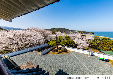 Cherry blossoms at the Takezaki Castle ruins observation deck [Takezaki, Tara-cho, Fujitsu-gun, Saga Prefecture] 119190151