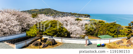 從竹崎城遺址展望台看到的櫻花全景【佐賀縣富士通郡太良町竹崎】 119190153