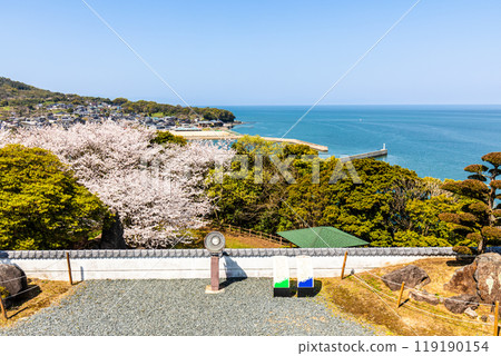竹崎城跡展望台的櫻花【佐賀縣富士通郡太良町竹崎】 119190154