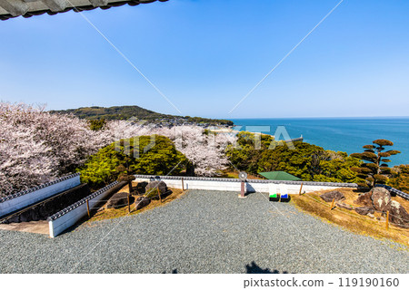 Cherry blossoms at the Takezaki Castle ruins observation deck [Takezaki, Tara-cho, Fujitsu-gun, Saga Prefecture] 119190160
