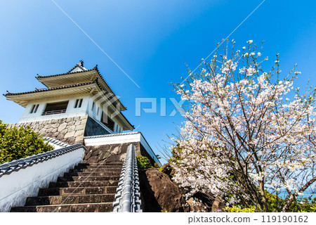 Cherry blossoms at the Takezaki Castle ruins observation deck [Takezaki, Tara-cho, Fujitsu-gun, Saga Prefecture] 119190162