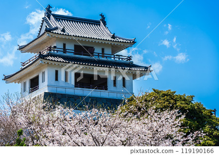 Cherry blossoms at the Takezaki Castle ruins observation deck [Takezaki, Tara-cho, Fujitsu-gun, Saga Prefecture] 119190166