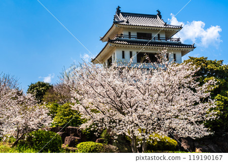 Cherry blossoms at the Takezaki Castle ruins observation deck [Takezaki, Tara-cho, Fujitsu-gun, Saga Prefecture] 119190167