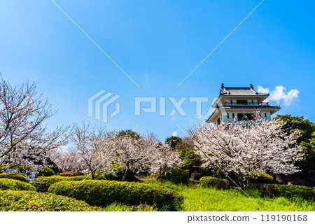 Cherry blossoms at the Takezaki Castle ruins observation deck [Takezaki, Tara-cho, Fujitsu-gun, Saga Prefecture] 119190168