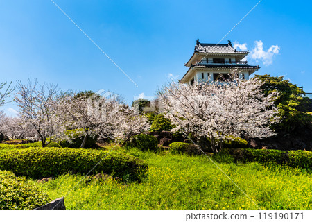 竹崎城跡展望台的櫻花【佐賀縣富士通郡太良町竹崎】 119190171