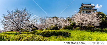 從竹崎城遺址展望台看到的櫻花全景【佐賀縣富士通郡太良町竹崎】 119190172