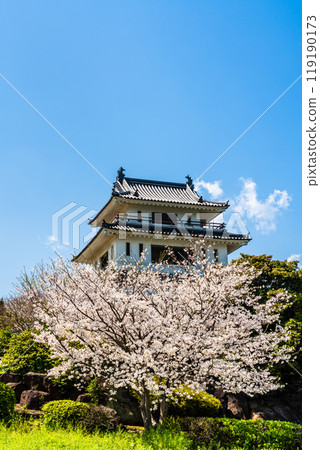 Cherry blossoms at the Takezaki Castle ruins observation deck [Takezaki, Tara-cho, Fujitsu-gun, Saga Prefecture] 119190173