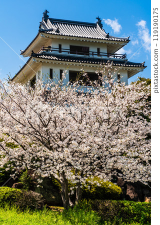 Cherry blossoms at the Takezaki Castle ruins observation deck [Takezaki, Tara-cho, Fujitsu-gun, Saga Prefecture] 119190175