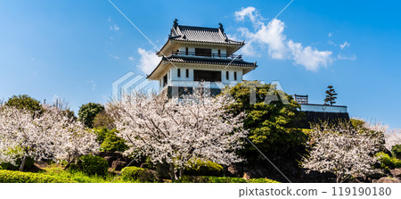 Panorama of cherry blossoms at Takezaki Castle ruins observation deck [Takezaki, Tara-cho, Fujitsu-gun, Saga Prefecture] 119190180
