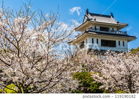 Cherry blossoms at the Takezaki Castle ruins observation deck [Takezaki, Tara-cho, Fujitsu-gun, Saga Prefecture] 119190182