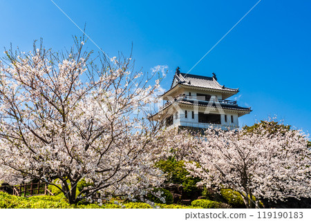 Cherry blossoms at the Takezaki Castle ruins observation deck [Takezaki, Tara-cho, Fujitsu-gun, Saga Prefecture] 119190183