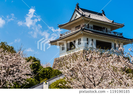 Cherry blossoms at the Takezaki Castle ruins observation deck [Takezaki, Tara-cho, Fujitsu-gun, Saga Prefecture] 119190185