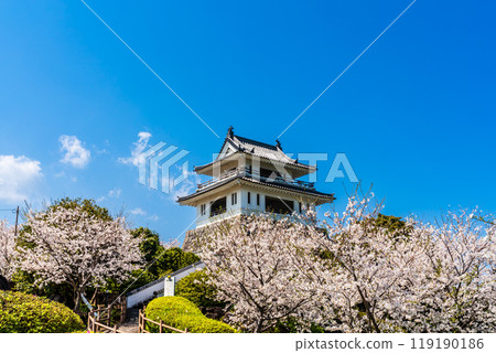竹崎城跡展望台的櫻花【佐賀縣富士通郡太良町竹崎】 119190186