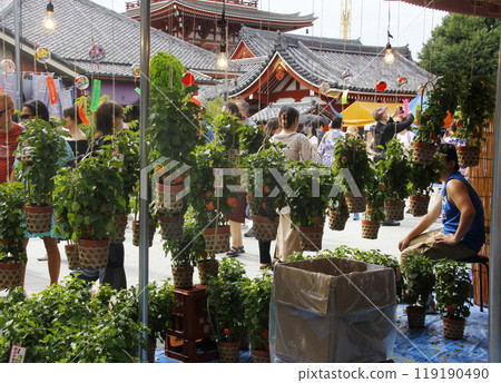 保月市場位於通往淺草寺的熱鬧道路上，男女老少和外國遊客都在這裡享受夏季傳統。 119190490