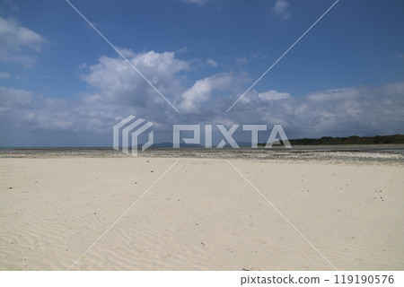 Taketomijima 119190576