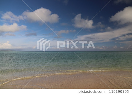 Taketomijima 119190595