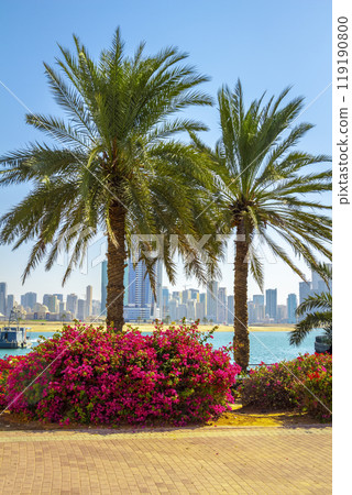 Beautiful park footpath 119190800