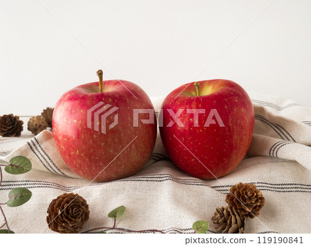 Two red apples Two red apples 119190841