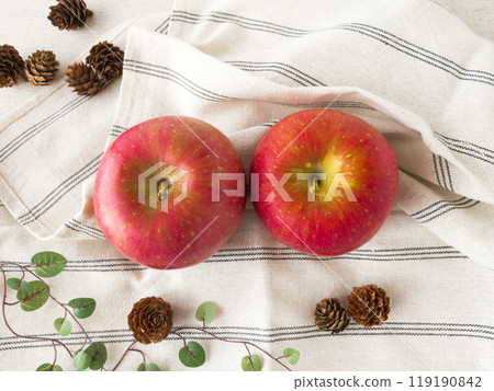 Two red apples Two red apples 119190842