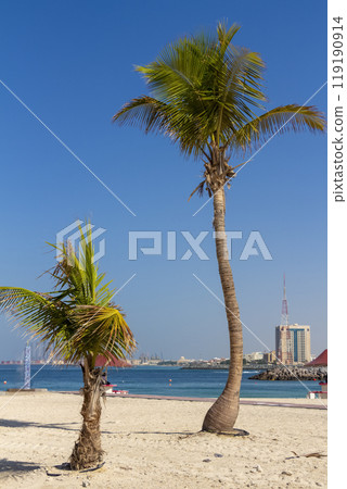 Palm tree on the beach Palm tree on the beach 119190914
