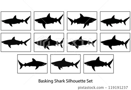 Basking Shark Silhouette Underwater, Basking Shark Black Icons Illustration Basking Shark Silhouette Underwater, Basking Shark Black Icons Illustration 119191237