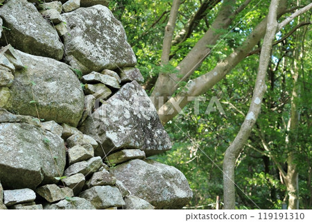 Stone wall of the mountain castle 119191310
