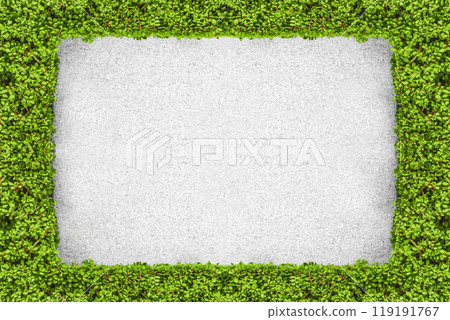 Framing of live plants Framing of live plants 119191767