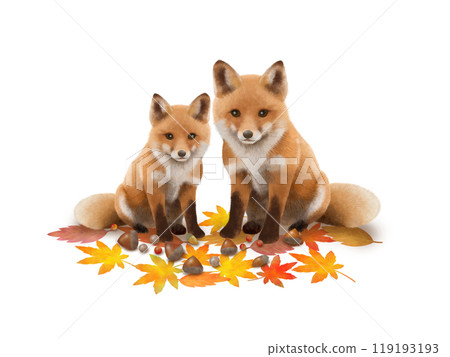 狐狸背景A-1 119193193