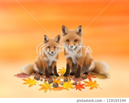 狐狸背景A-2 狐狸背景A-2 119193194