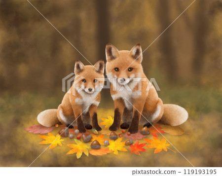 Fox Background A-3 119193195