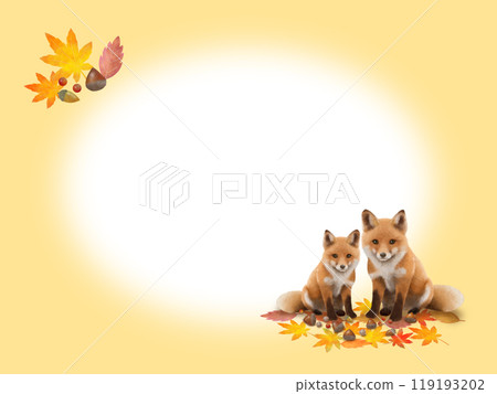 Fox Frame B-2 Fox Frame B-2 119193202