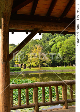 秋色開始變化，從涼亭看，大池湖，城山公園，桶川市 119193207